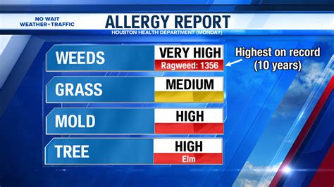 Ragweed Pollen Explodes Houston S Highest Count On Record