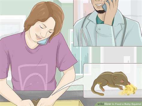 How To Feed A Baby Squirrel Steps With Pictures Wikihow