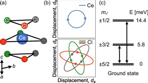 Giant Phonon Induced Effective Magnetic Fields In F Paramagnets