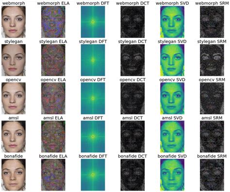 Examples Of Face Feature Explainability For A Random Bona Fide And