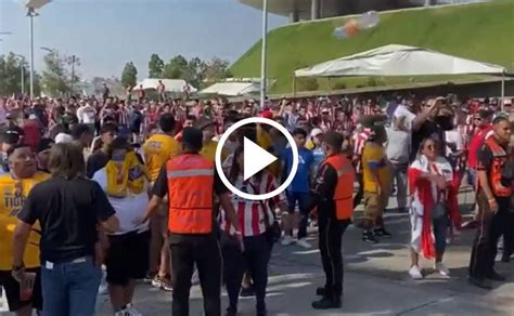 ¡insólito El Conato De Bronca Entre Aficionados De Chivas Y Tigres