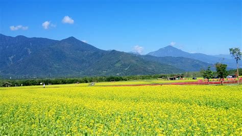 大農大富平地森林園區 台灣山林悠遊網