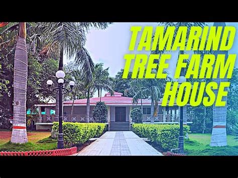 Tamarind Tree Farm House At Moinabad Youtube