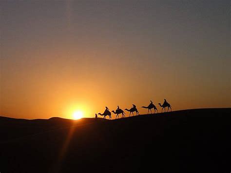 Sunset On The Dunes Of Sahara Including Camel Ride - Morocco Tours from Casablanca, Morocco ...