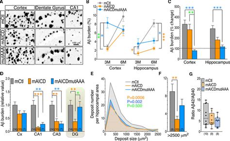 Sustained App Mediated Signaling Reduces Ab Burden In 5xfad Mice Brain