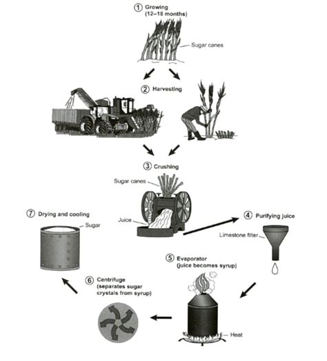 Manufacturing Process For Making Sugar From Sugarcane Task Process