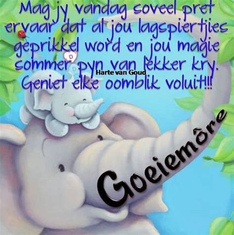 Afrikaanse Quotes Goeie More Goeie Nag Tot Smurfs Travel Pillow