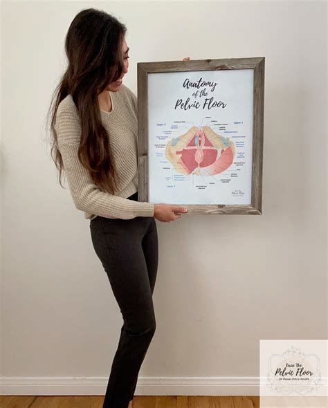 Anatomy Of The Pelvic Floor Art Poster Print Etsy Canada