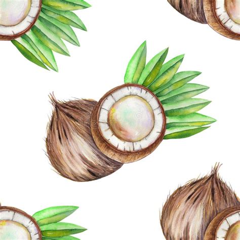 A Seamless Pattern With The Watercolor Coconut Painted Hand Drawn In A