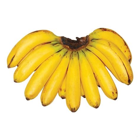 Banana Lakatan fruit 500g - Bohol Online Store