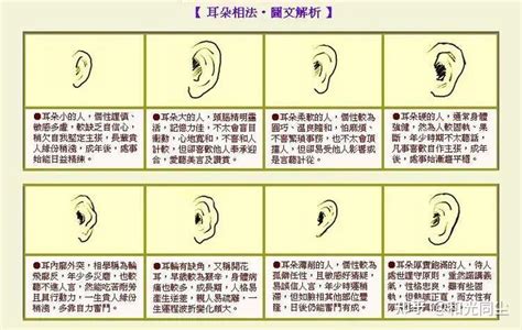 心理学：这八种耳朵的形状，暴露了一个人的性格 知乎