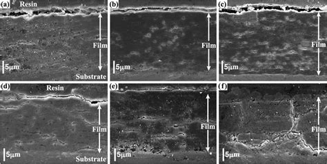 Cross Sectional Fe Sem Images Of The Films Formed On Azca By Steam