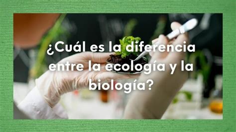 Cómo se relaciona el ser humano con el medio ambiente 2024