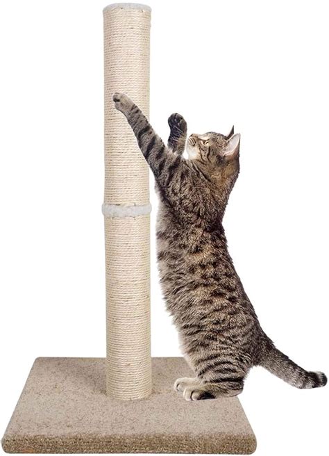 Amazon Dimaka Tall Carpet Cat Scratching Post For Large Cats