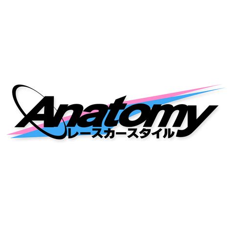 ANATOMY LAYERED BANNER – Anatomy