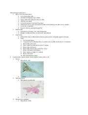 Microbiology Lab Exam Docx Microbiology Lab Exam How To Do A