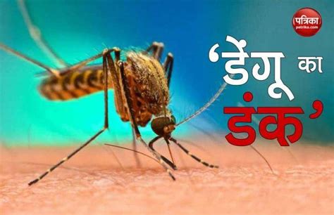 Dengue Fever Latest Cases In Noida And Ghaziabad Dengue Fever नोएडा