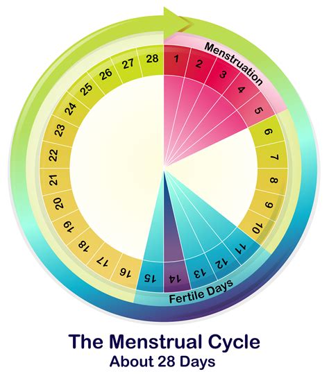 A Girls Guide To Optimizing Performance With The Flow Of Her Menstrual Cycle Jenny Hadfield