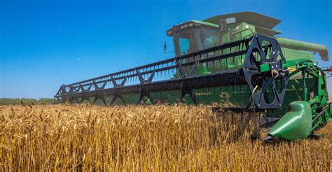 A season in review: Producers discuss yields, challenges of late wheat ...