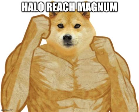 Buff Doge Vs Cheems Meme Imgflip