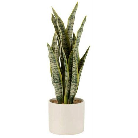 Plante Artificielle En Pot Sansevieria Cm Vert