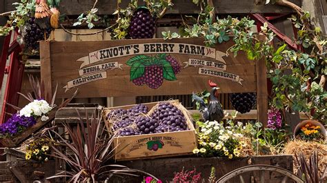 Orange County Events This Spring Knotts Berry Farms Boysenberry Festival