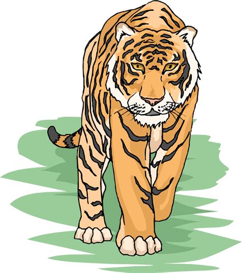 Tiger Clip Art Images Free Tiger Walking Clip Art Png Download