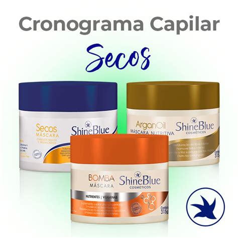 Cronograma Capilar Secos Shine Blue Cosm Ticos