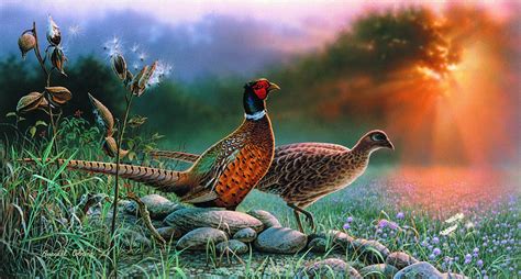 Giclee Art Pheasants By Award Winning Michigan Artist Russell Cobane