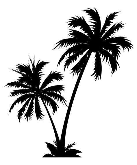 Silhouette Coconut Tree Png All