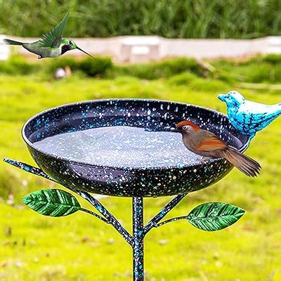 Amazon Mnrylkb H Cast Iron Pedestal Bird Bath Bird Baths For