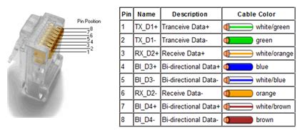 Rj45 Socket Pinout