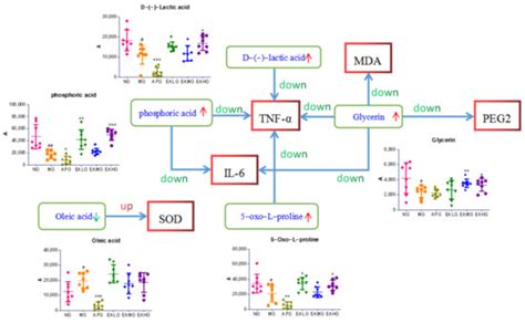 Proteomics And Metabolomics In Biomedicine