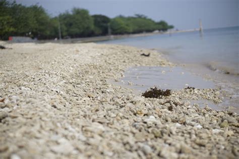 Gambar Laut Pantai Pasir Tanah Liburan Bentang Alam Pesisir Dan