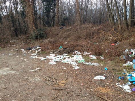 Rifiuti Nei Boschi Del Ticino Varesenews Foto