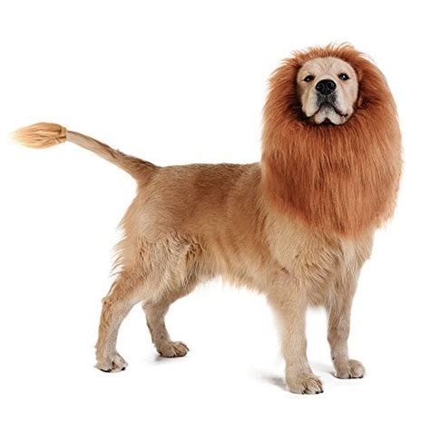 TOMSENN Dog Lion Mane - Realistic & Funny Lion Mane for Dogs ...