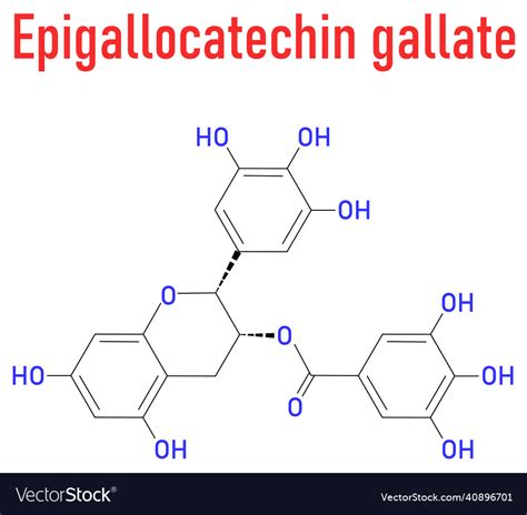 Epigallocatechin Gallate Or Egcg Molecule Vector Image