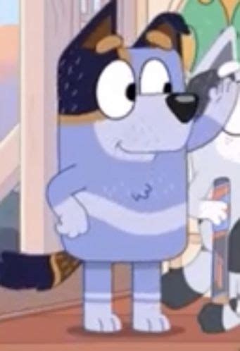 Pin By Kimberley Smith On Bandit Bluey Stripe Bandit Hot