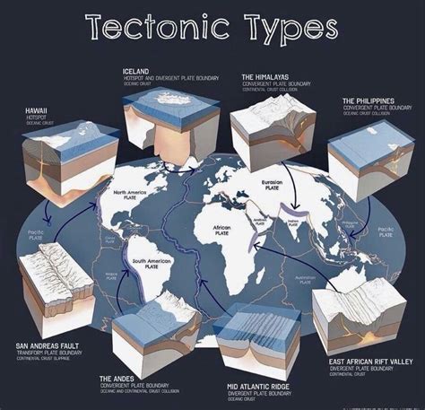 Tectonic Types of Plate Boundaries | Earth and space science, Earth science lessons, Physical ...