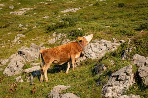 Wanderung Zum S Dlichsten Punkt Deutschlands Grenzstein