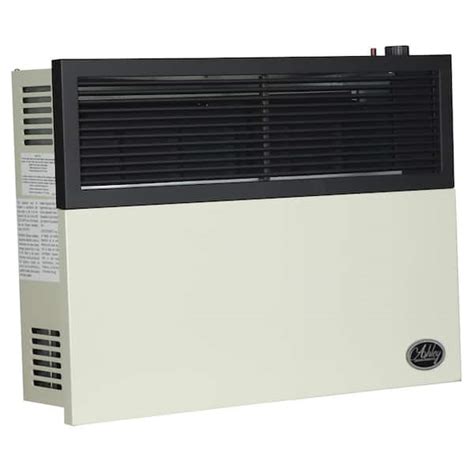 Ashley Hearth Products Btu Direct Vent Natural Gas Heater