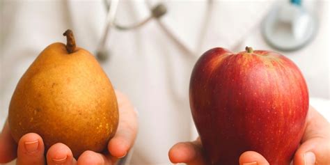 ginoide  androide morphe palestra piombino