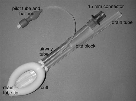 Analysis Of 1000 Consecutive Uses Of The ProSeal Laryngeal Mask