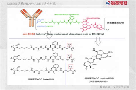 死磕pd L1tgfβ双抗，恒瑞医药不想为默克的失败买单德国新浪新闻