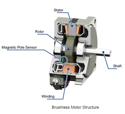 Motore Spazzolato Vs Motore Brushless Qual è La Differenza