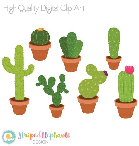 Cacti Clip Art, Cactus Clipart, Succulent Clip Art, Plants Clipart ...