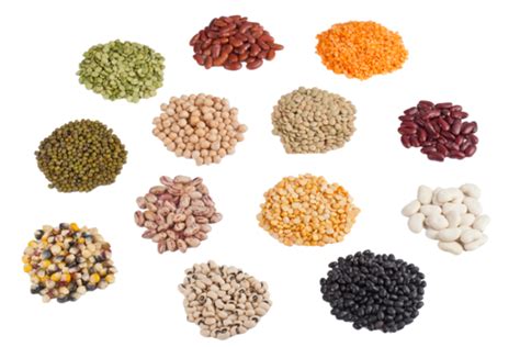 Beans Mix Png Transparent Images Free Download Vector Files Pngtree