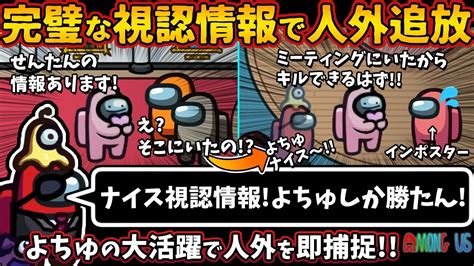 完璧な視認情報で人外追放「ナイス視認情報よちゅしか勝たん」よちゅの大活躍で人外を即捕捉【among Usガチ部屋アモングアスmodアモ