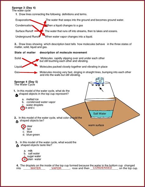 The Water Cycle Worksheets Answer Key