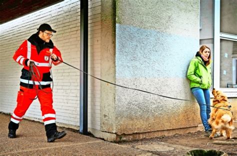 Rettungshunde im Einsatz Tierische Spürnasen Stuttgart